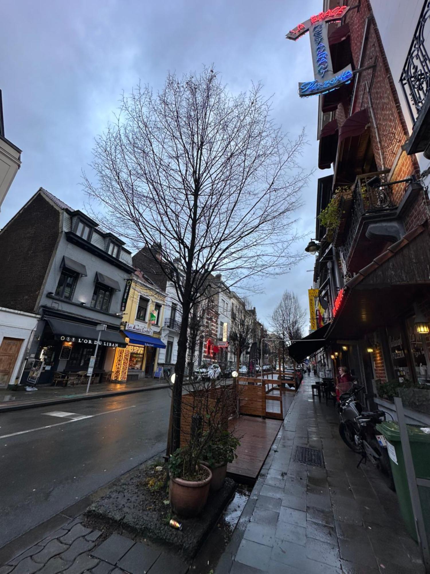 My Haus European Commision Bed & Breakfast Brussels Ngoại thất bức ảnh